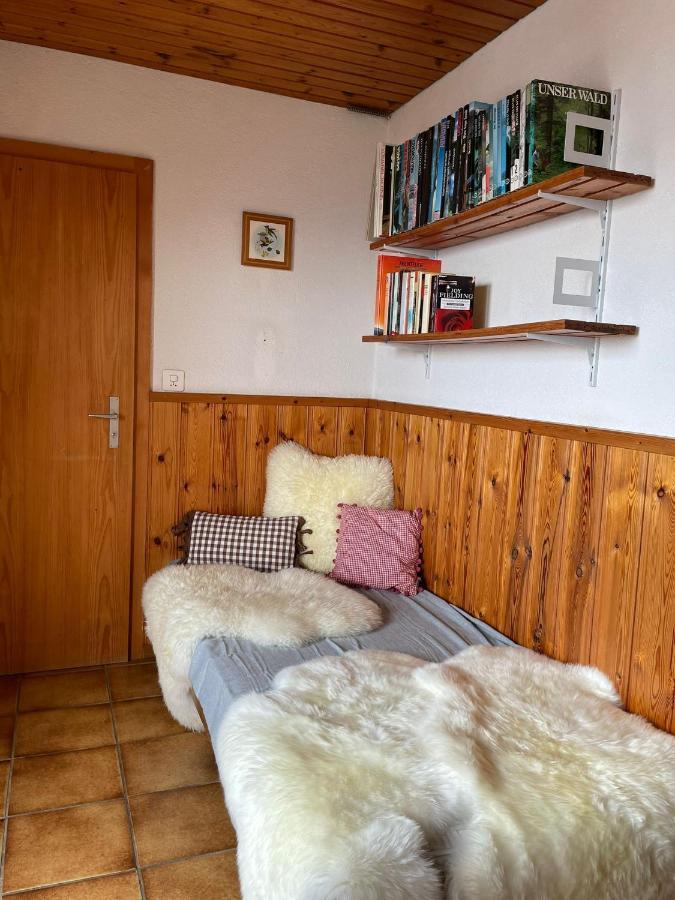 Gemuetliche Wohnung Mit Traumaussicht! Albinen Exterior photo